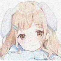 用户山茶头像
